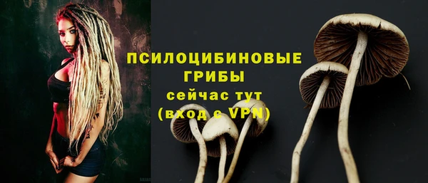 первитин Абинск