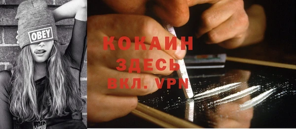 гидра Болохово